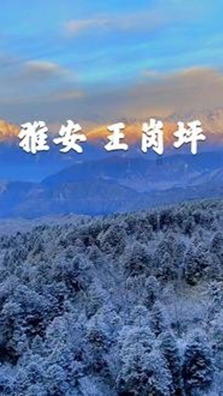 陕西省政协十三届二次会议明日在西安召开