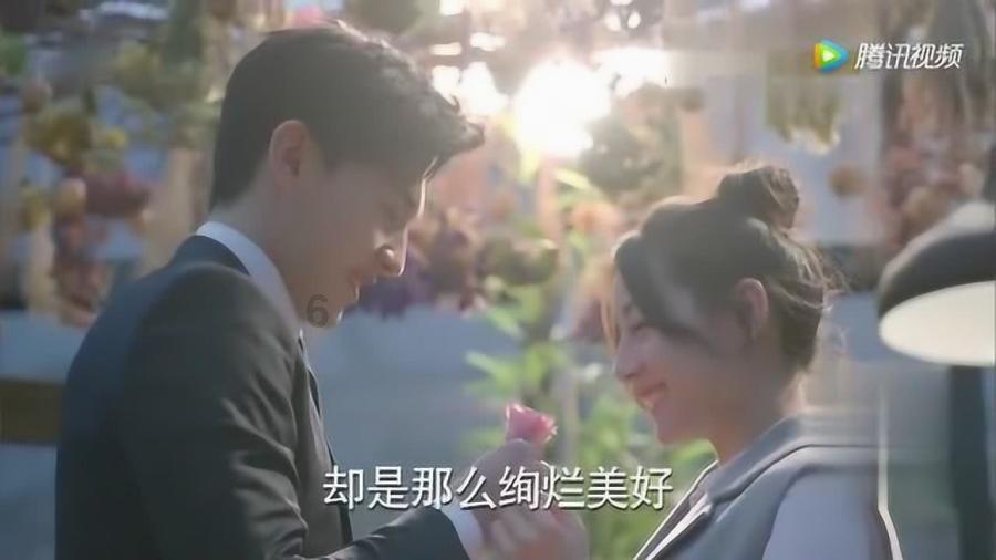被誉为“大自然的舞者”！国家二级保护动物棕背田鸡现身攀枝花，系当地首次发现